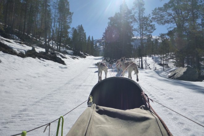 Hundespann i Sjodalen Hundespann i Sjodalen