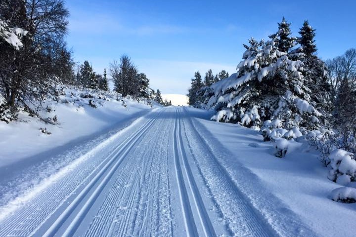 Garantert snø i vinterferien Garantert snø i vinterferien